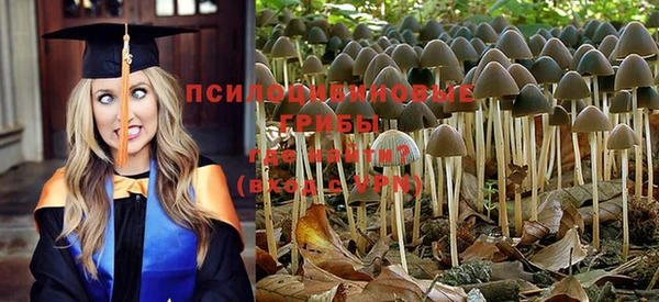 прущие крисы Беломорск
