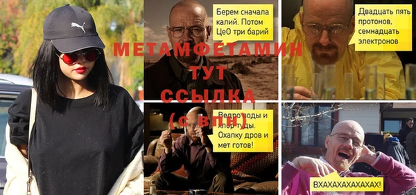 прущие крисы Беломорск