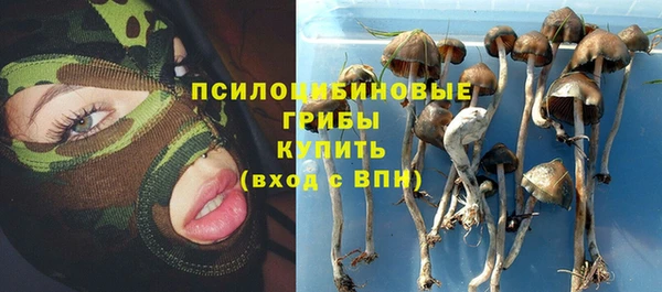 МДПВ Осташков