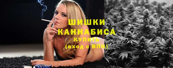 шишки Богородск
