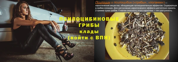 эйфоретик Богданович