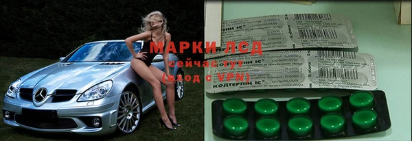 a pvp Белокуриха
